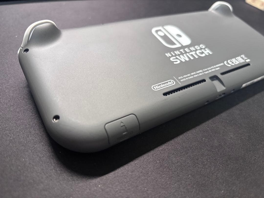 Nintendo Switch Lite グレー 本体と充電器、カバーのみ