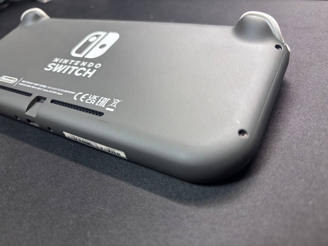 Nintendo Switch Lite グレー 本体と充電器、カバーのみ