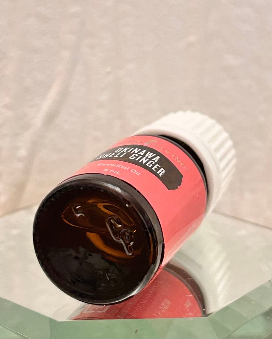 【新品未開封】沖縄タイリン 2025年１月限定ヤングリヴィング 正規品