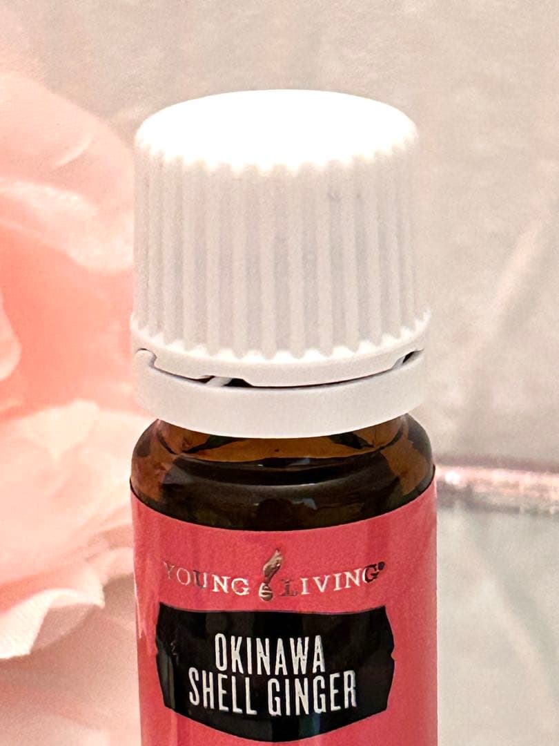 【新品未開封】沖縄タイリン 2025年１月限定ヤングリヴィング 正規品