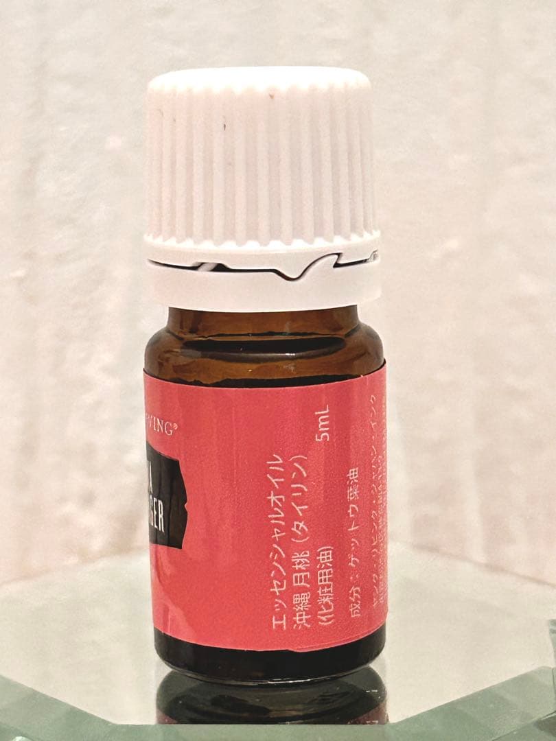 【新品未開封】沖縄タイリン 2025年１月限定ヤングリヴィング 正規品