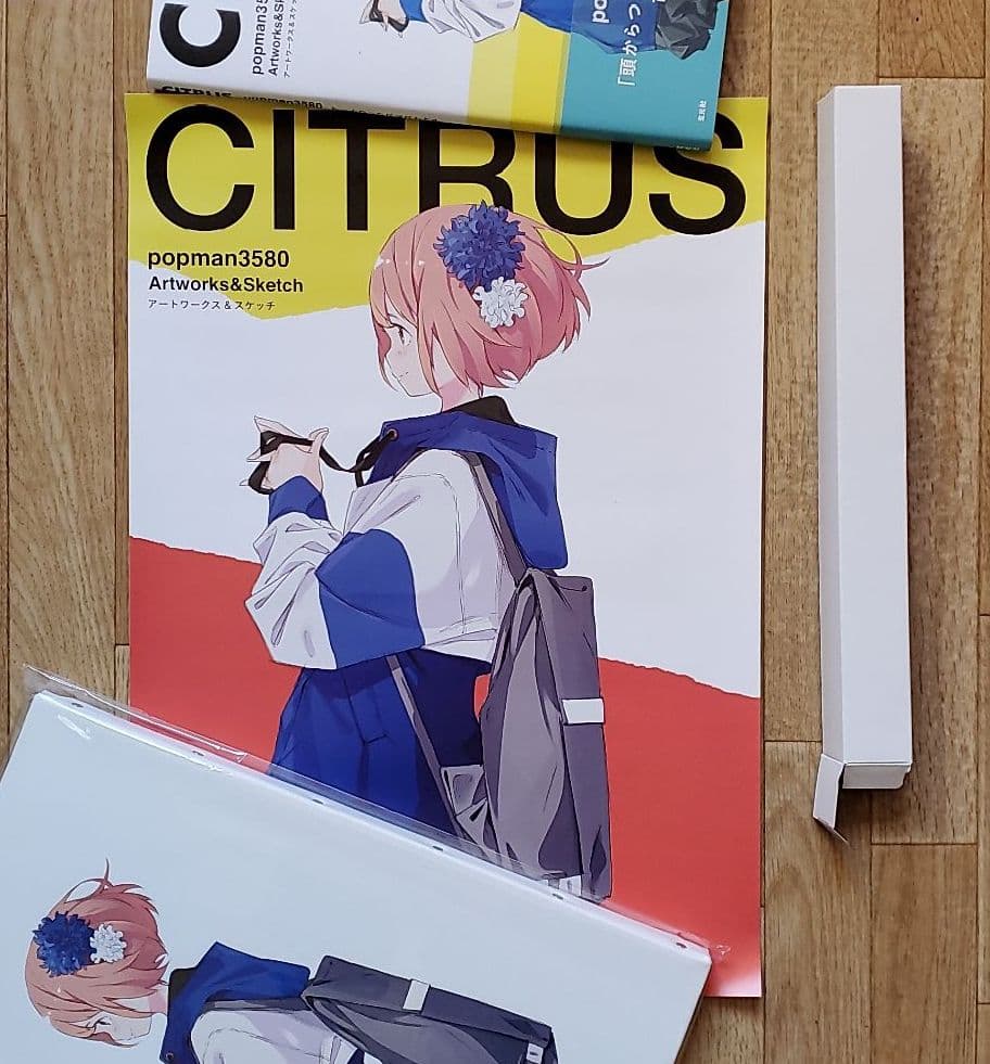 popman3580　画集CITRUS 直筆サイン本、キャンバスアートセット