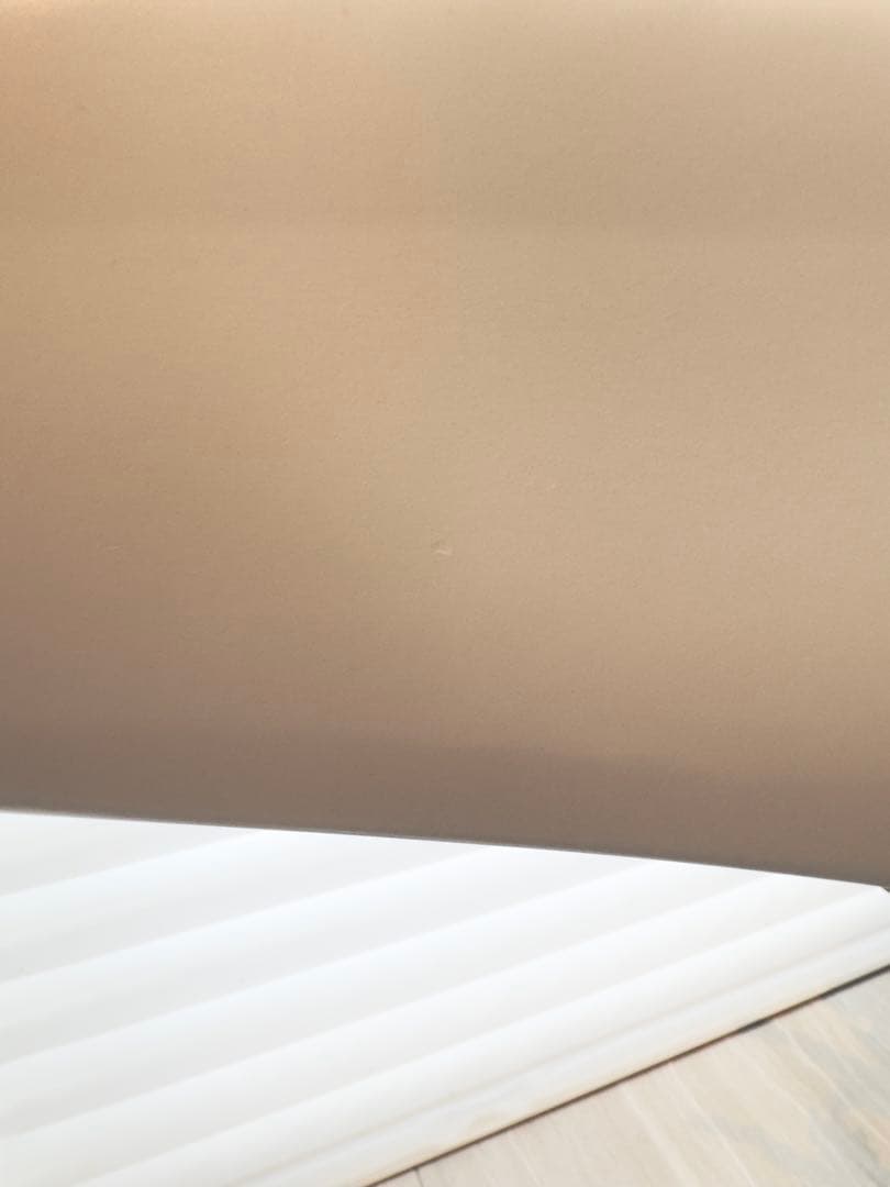 【最終値下げ】Carl Hansen & Søn CH88P Chair