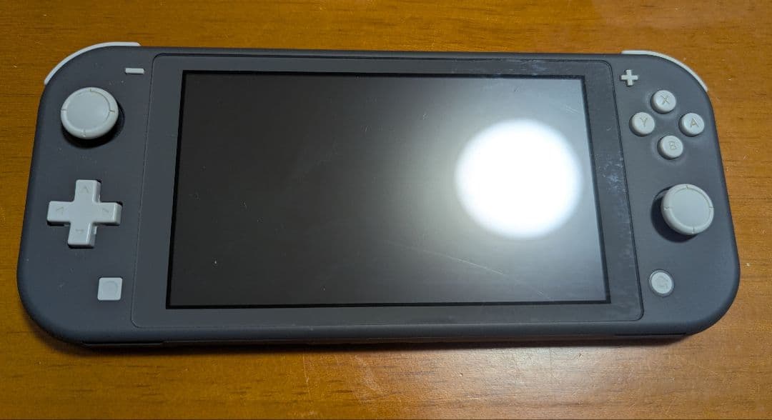 Nintendo Switch Lite グレー + 携帯用ケース