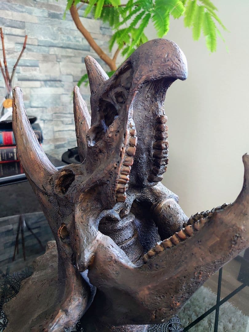 【DINOWORLD】トリケラトプス 頭骨レプリカ 化石 ジュラシックワールド