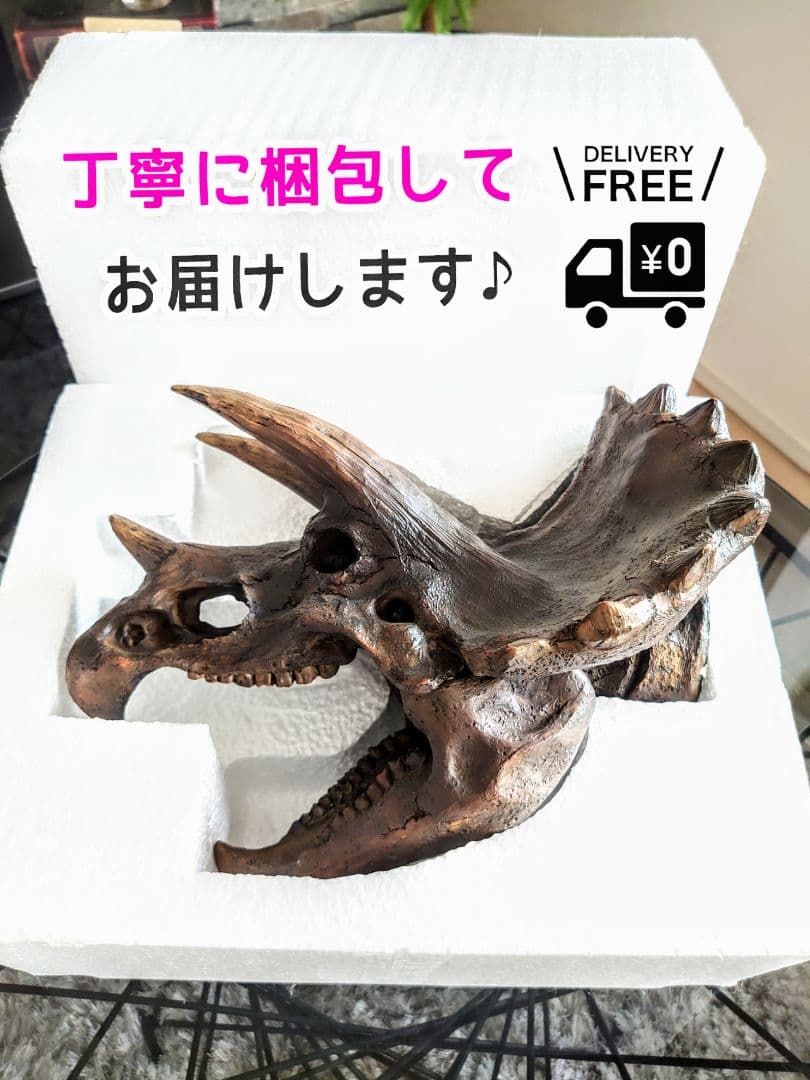 【DINOWORLD】トリケラトプス 頭骨レプリカ 化石 ジュラシックワールド