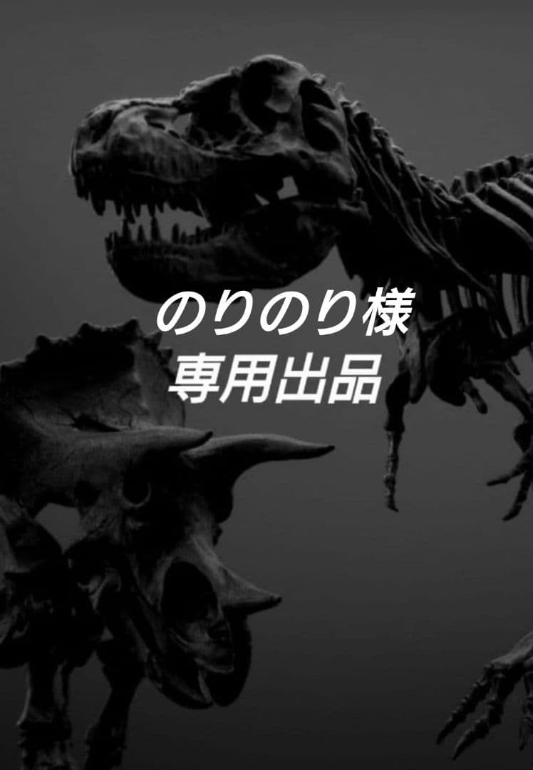 【DINOWORLD】トリケラトプス 頭骨レプリカ 化石 ジュラシックワールド
