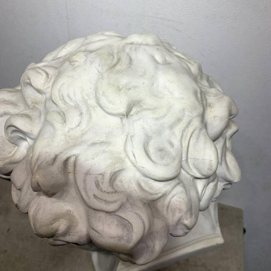 メディッチ像　石膏像　胸像　美術　　オブジェ　　XZ4058