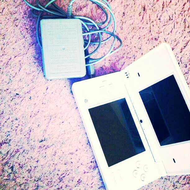 本日限定値下げ♡DSi