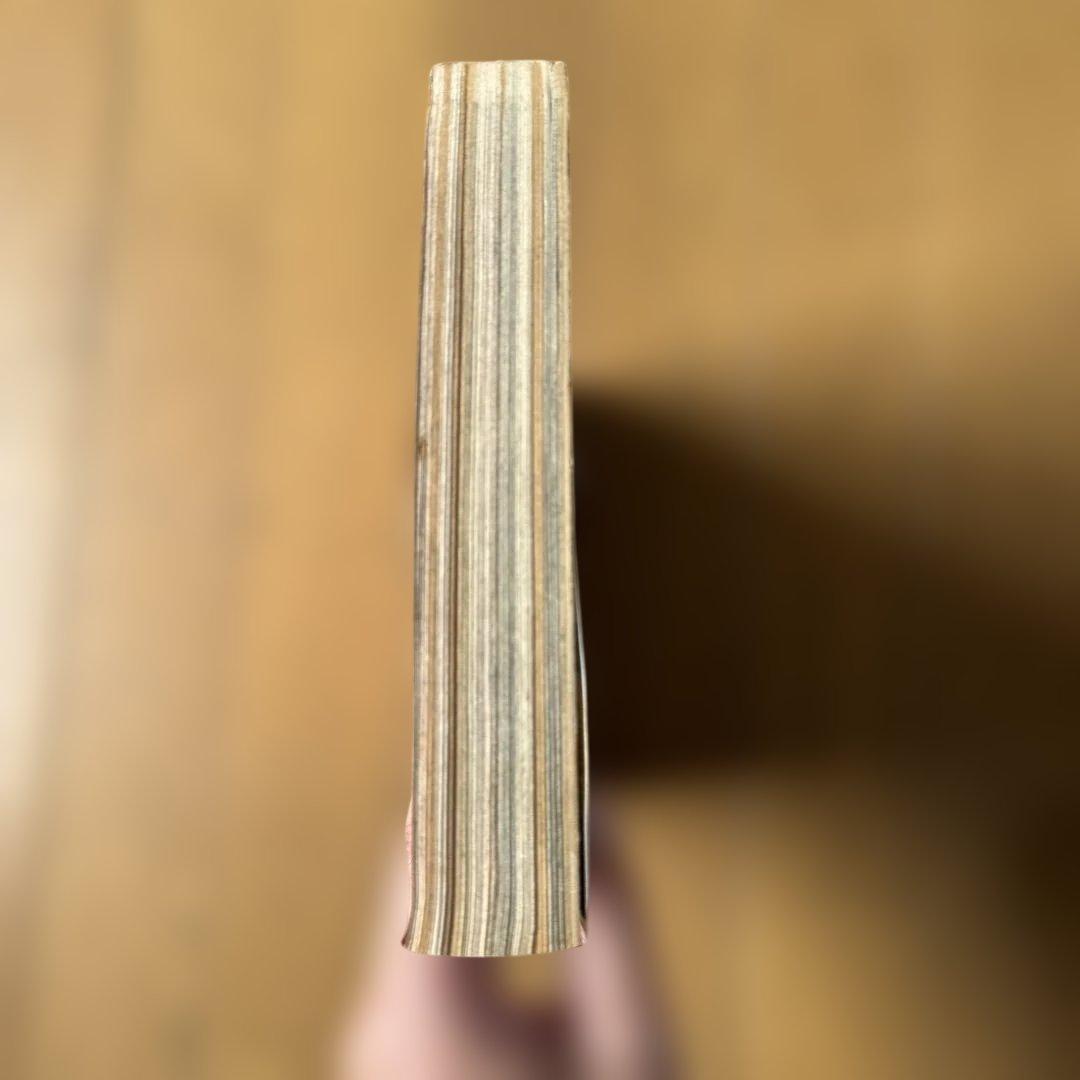 週刊少年ジャンプ 1998年17号 ONE PIECE クロ編クライマックス号