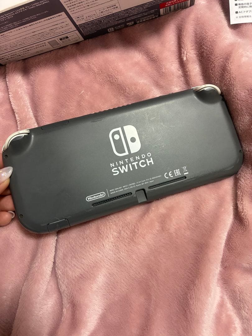 Nintendo Switch Lite スイッチライト 本体 マイクラソフト付