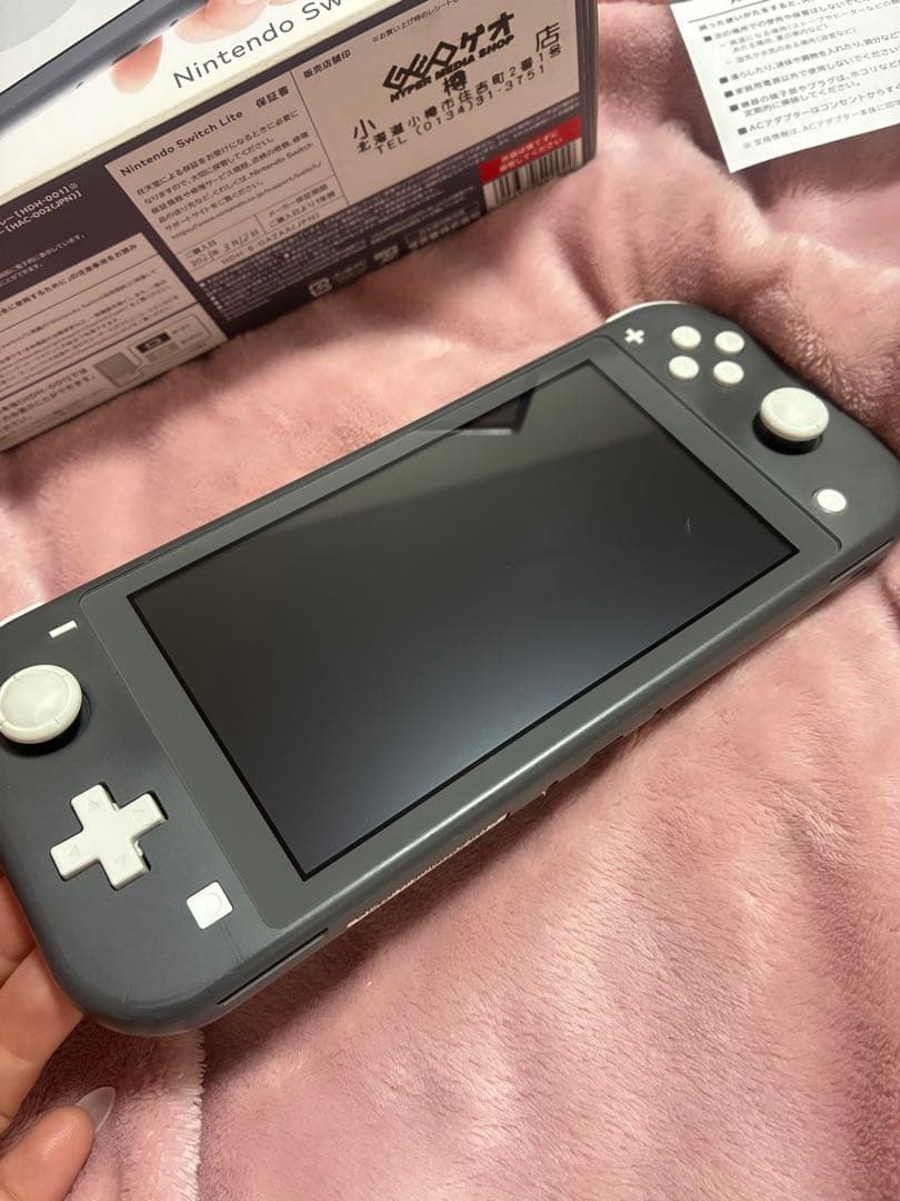 Nintendo Switch Lite スイッチライト 本体 マイクラソフト付