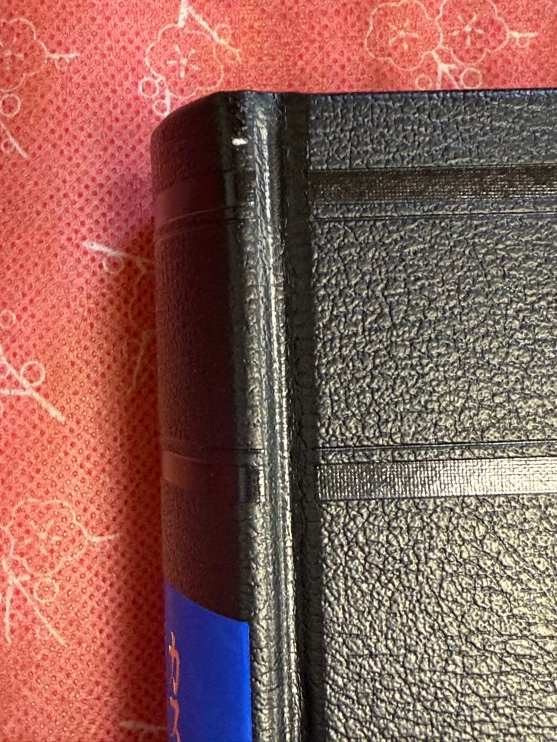 カスティリオーネ 宮廷人 (東海大学古典叢書)　美品