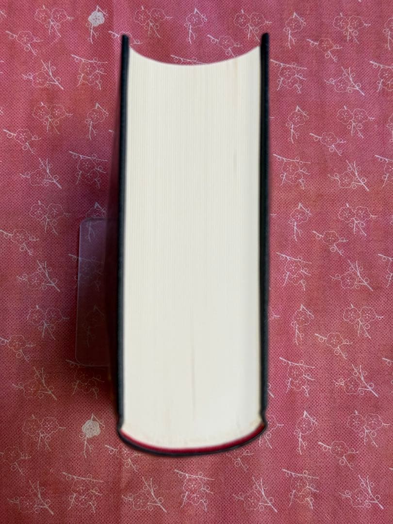 カスティリオーネ 宮廷人 (東海大学古典叢書)　美品