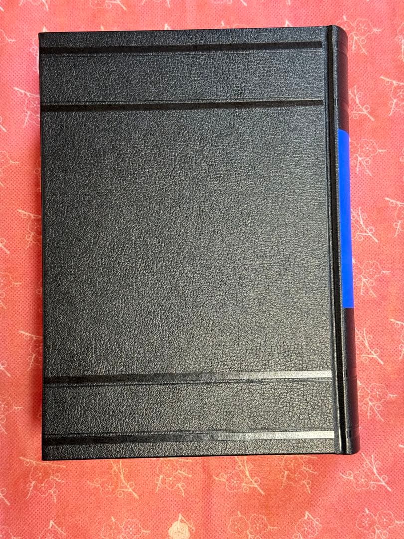 カスティリオーネ 宮廷人 (東海大学古典叢書)　美品