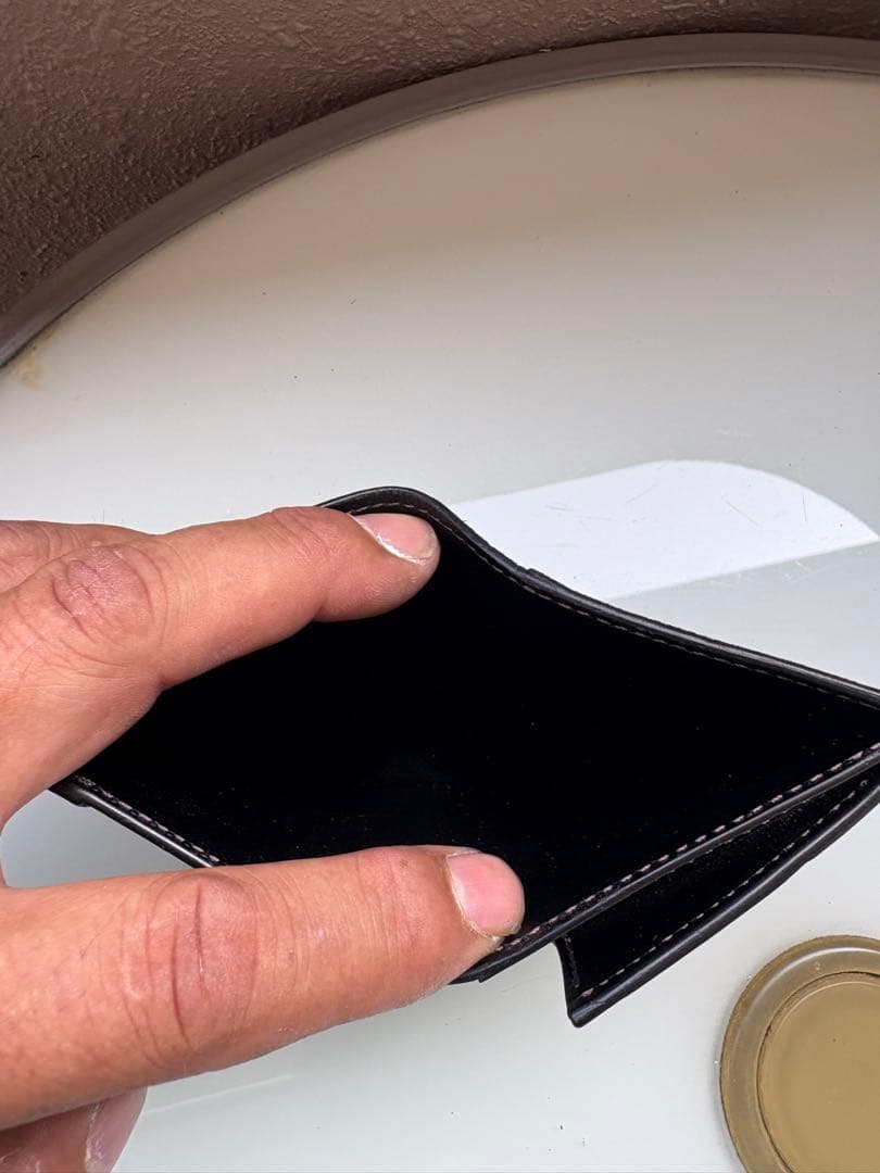 ワイルドスワンズ　パームv2