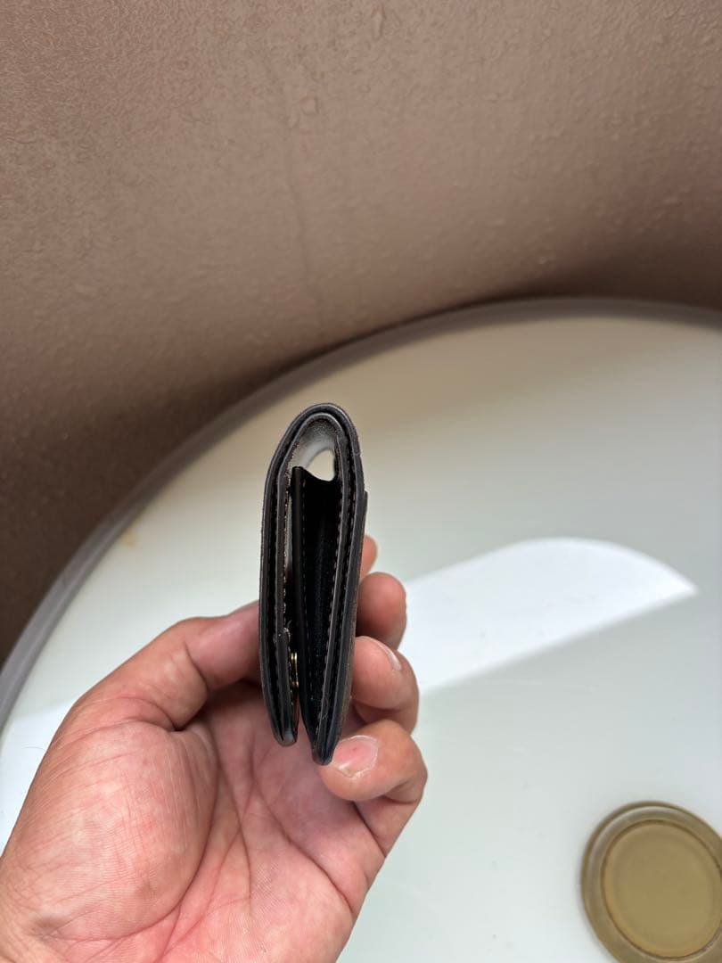 ワイルドスワンズ　パームv2