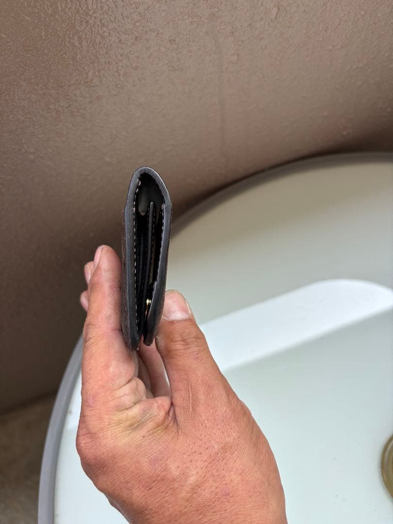 ワイルドスワンズ　パームv2