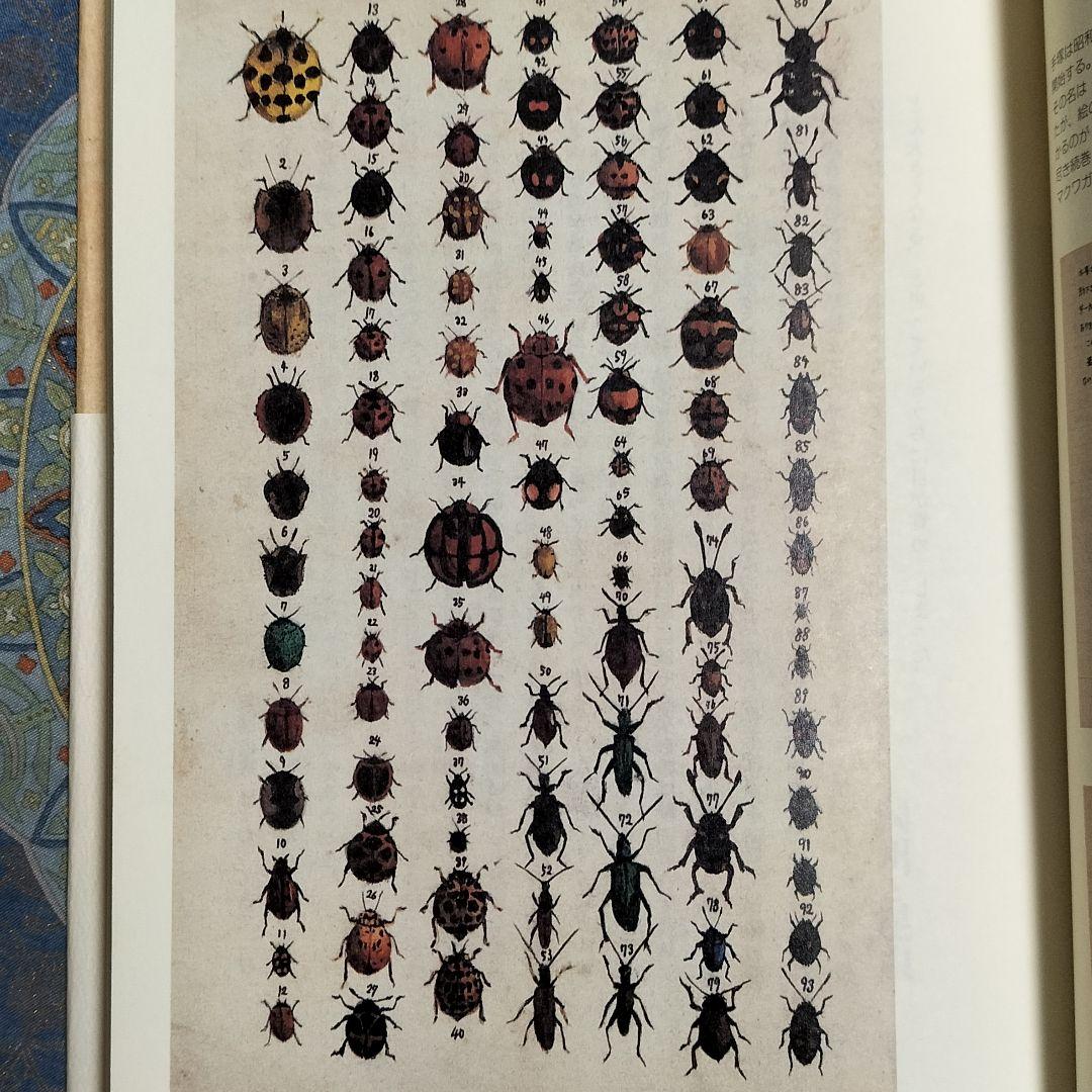 希少本！✨『昆虫つれづれ草』✨手塚治虫著 寺坂啓著 虫の博物誌 昆虫図鑑 手描き