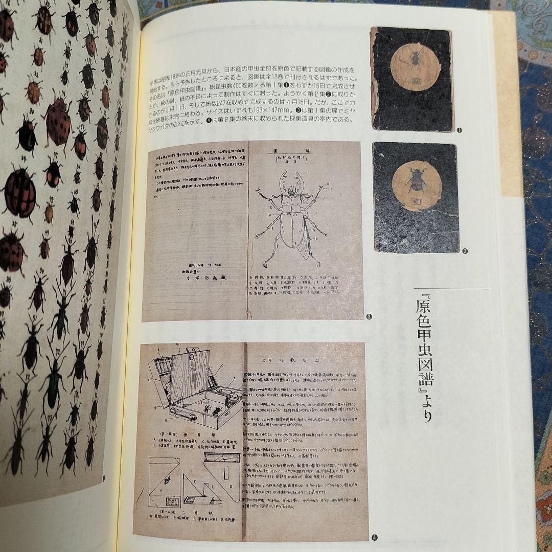 希少本！✨『昆虫つれづれ草』✨手塚治虫著 寺坂啓著 虫の博物誌 昆虫図鑑 手描き