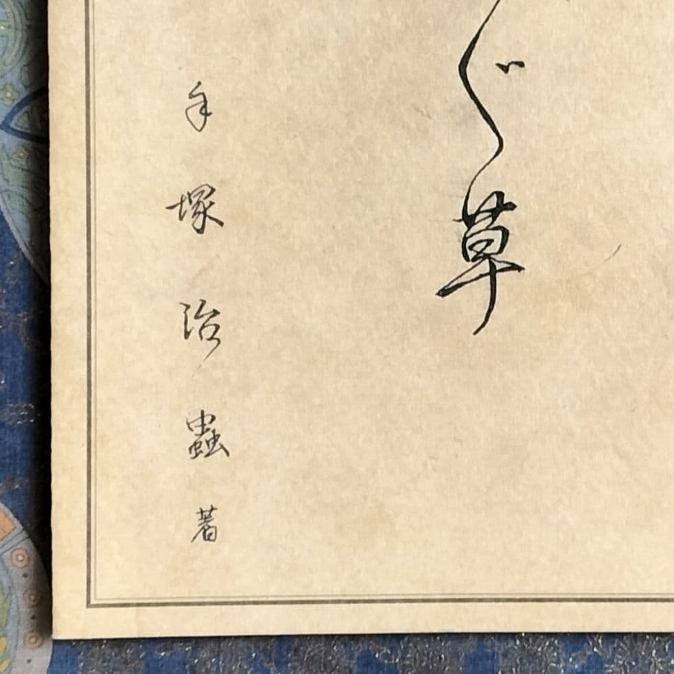 希少本！✨『昆虫つれづれ草』✨手塚治虫著 寺坂啓著 虫の博物誌 昆虫図鑑 手描き