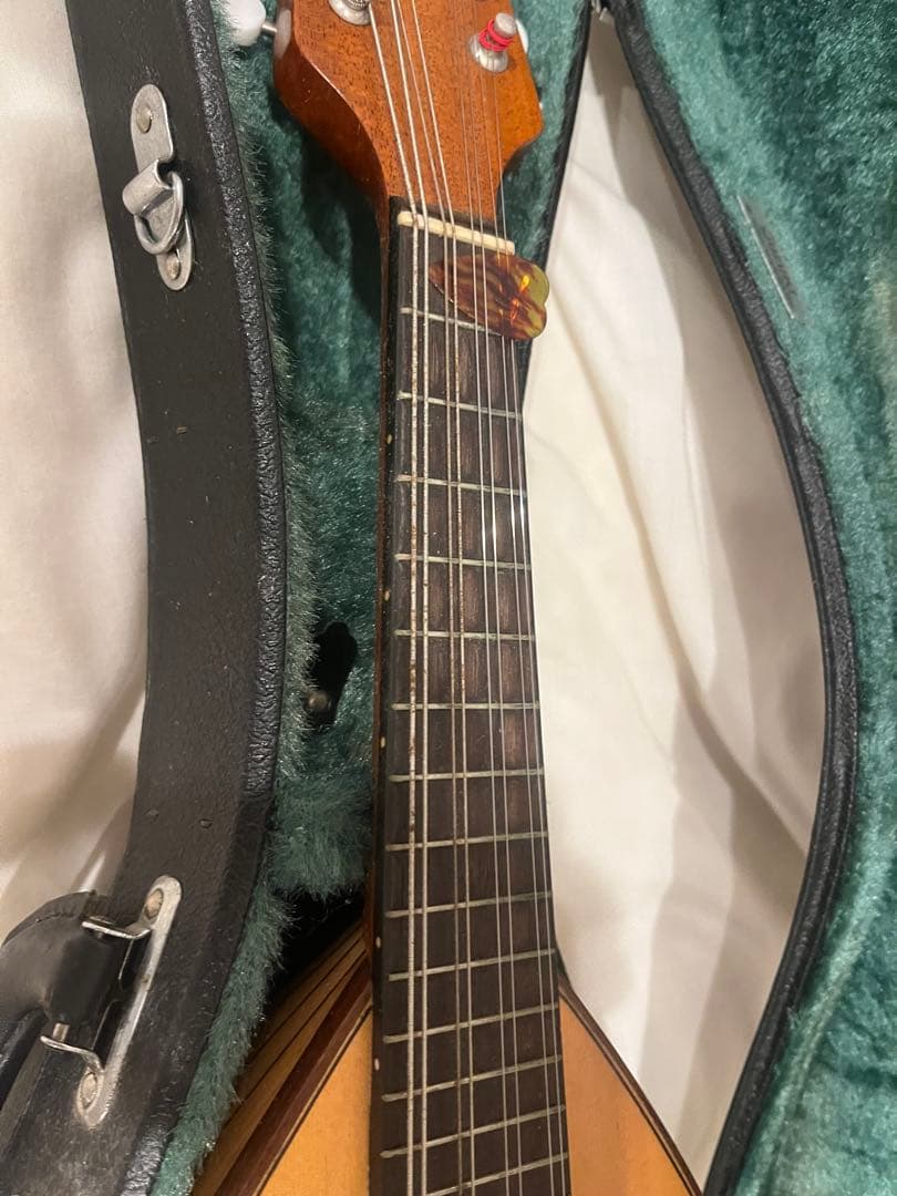 マンドリンと黒いケースセット