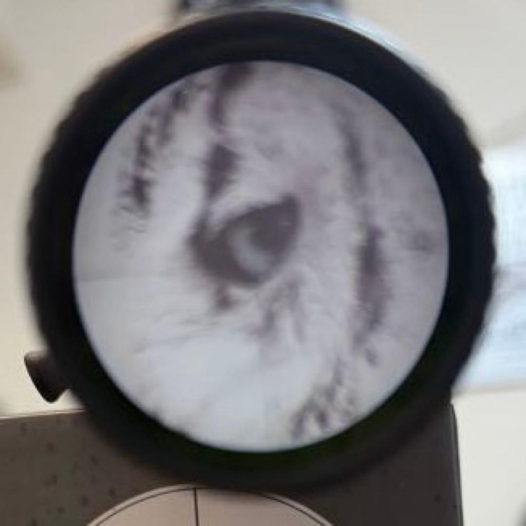 トイガン Vector Optics FORESTER I-5X24 GENII