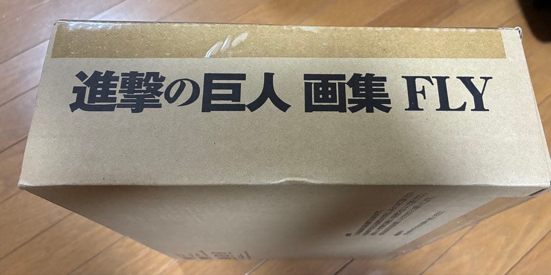 【新品未開封】進撃の巨人 画集 FLY