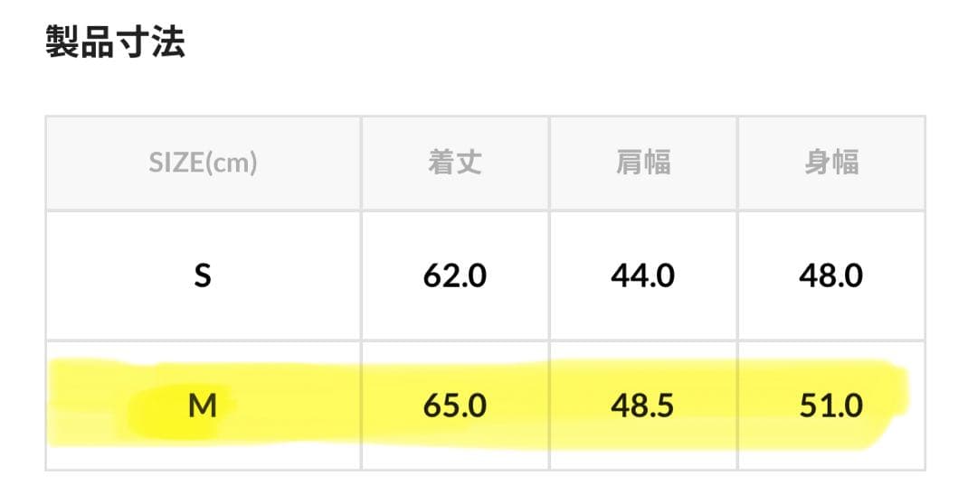 【最安値】パタゴニアWomens Classic Retro-X Vest M