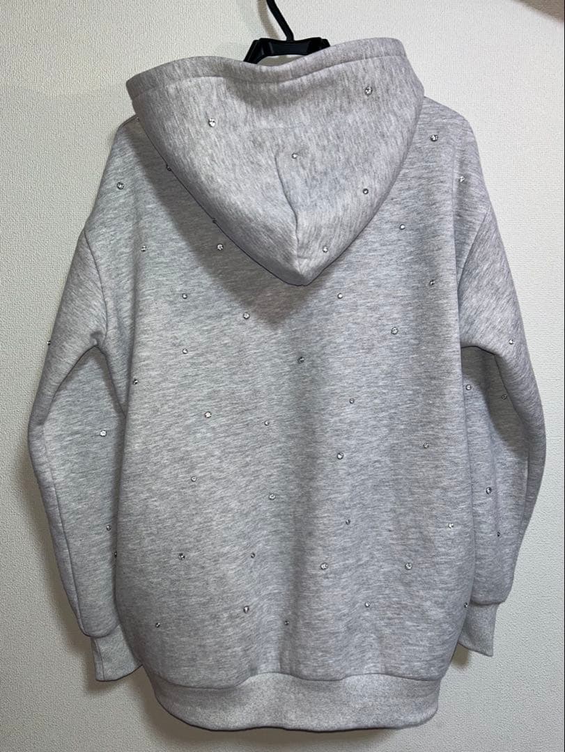 Darich ダーリッチ　DDロゴビジュージップパーカー グレー