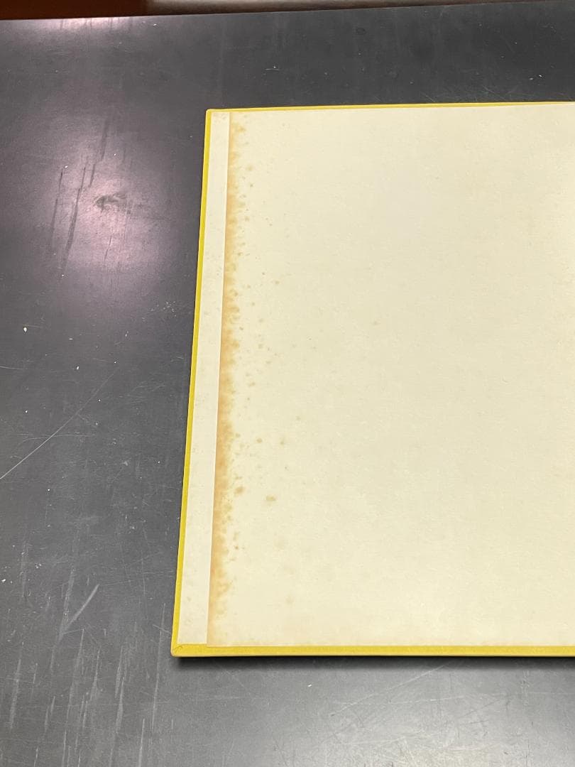 洋書 THE TAROT CARDS BY BONIFACIO BEMBO