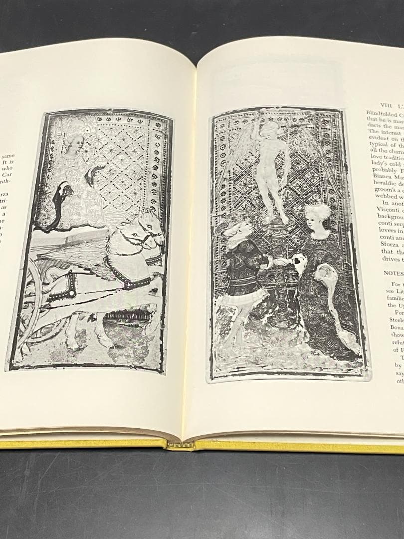 洋書 THE TAROT CARDS BY BONIFACIO BEMBO