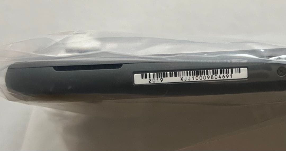 Nintendo Switch Lite グレー、保護フィルム、ハードカバー