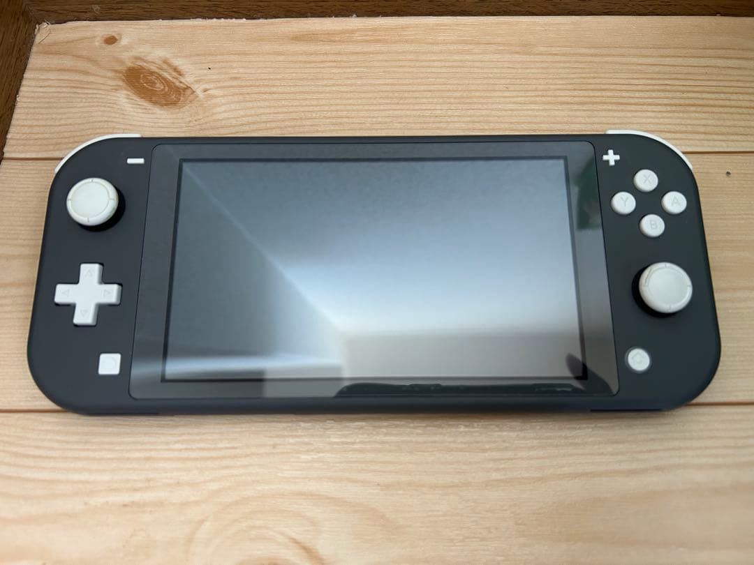 Nintendo Switch Lite グレー、保護フィルム、ハードカバー