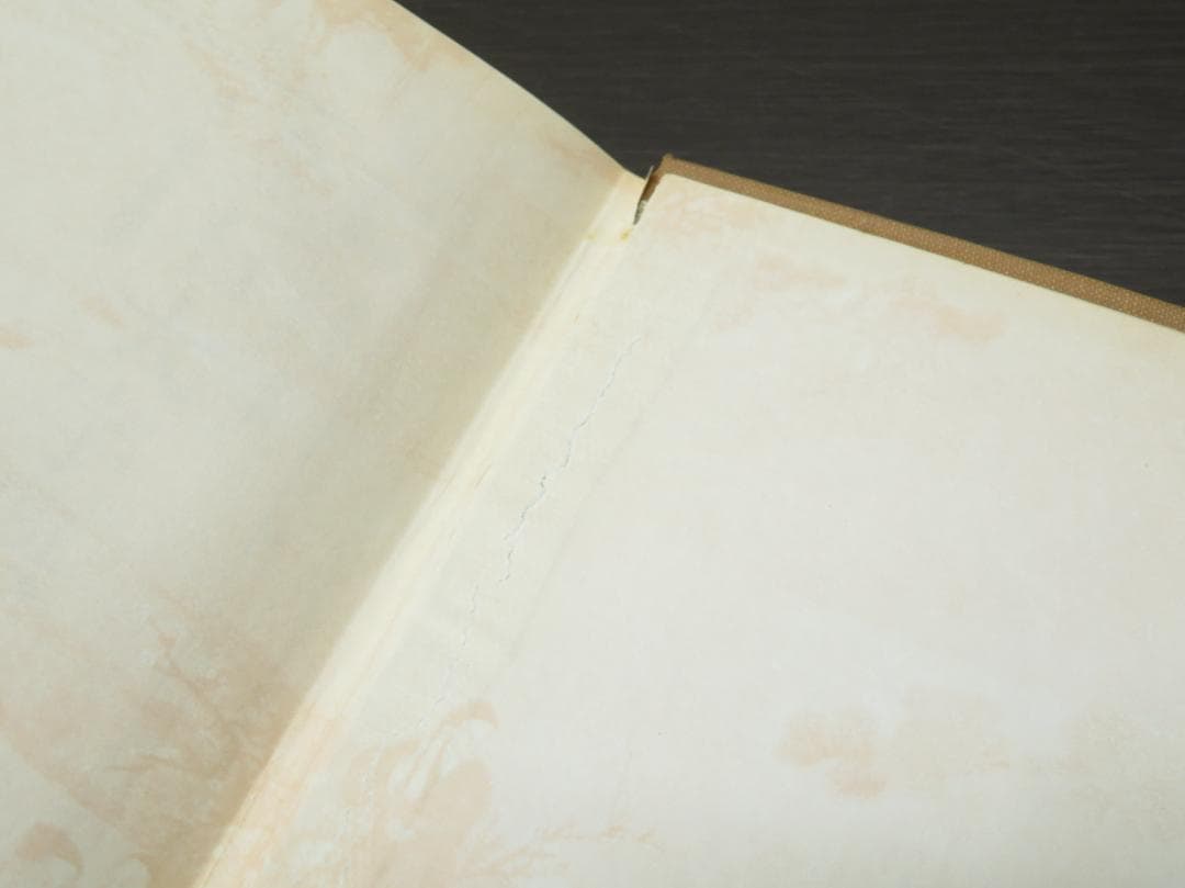 金石大字典 全4巻セット 張謇, 潘齢皋, 康有為, 于右任 書道 古書 和本