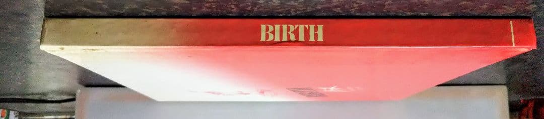 金田伊功 画集 BIRTH