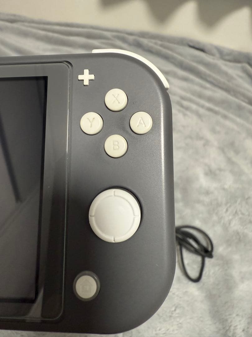 Nintendo Switch Lite 本体　マイクロSD128GB付き