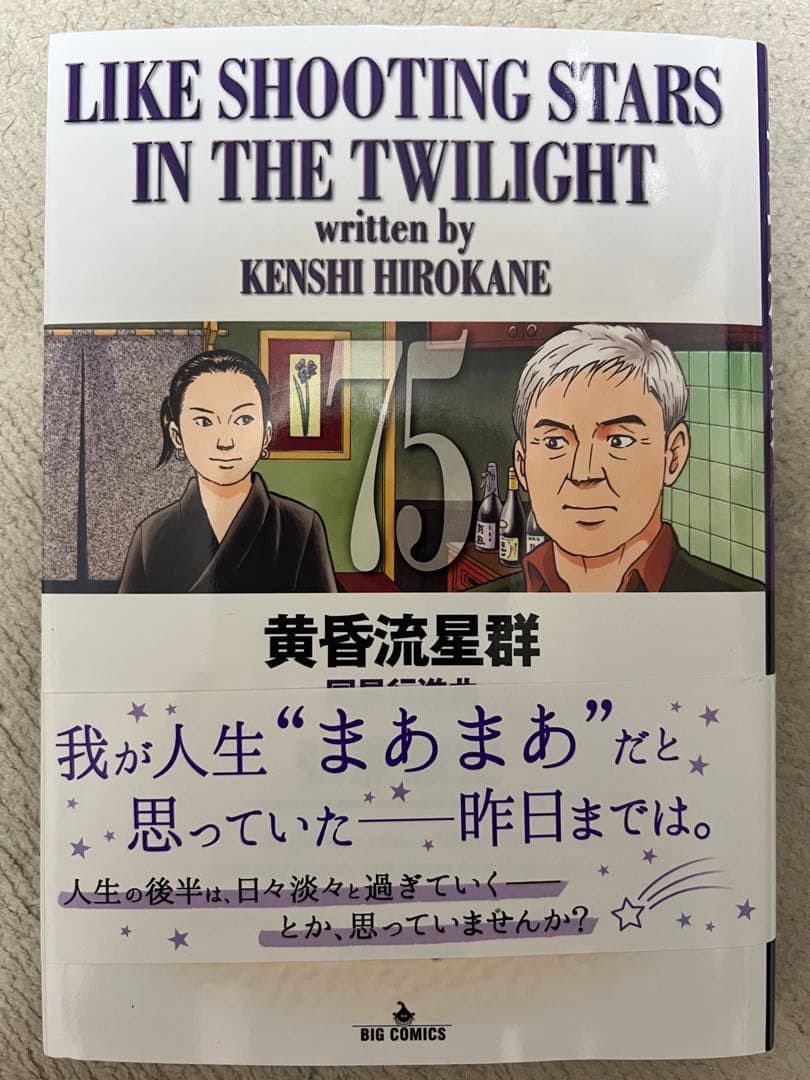 黄昏流星群全75巻セット