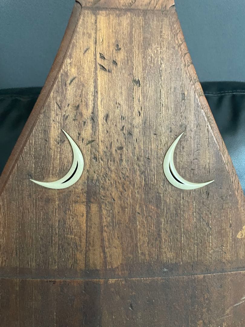 レア 筑前琵琶 四弦五柱 マンモス装飾 和楽器 弦楽器