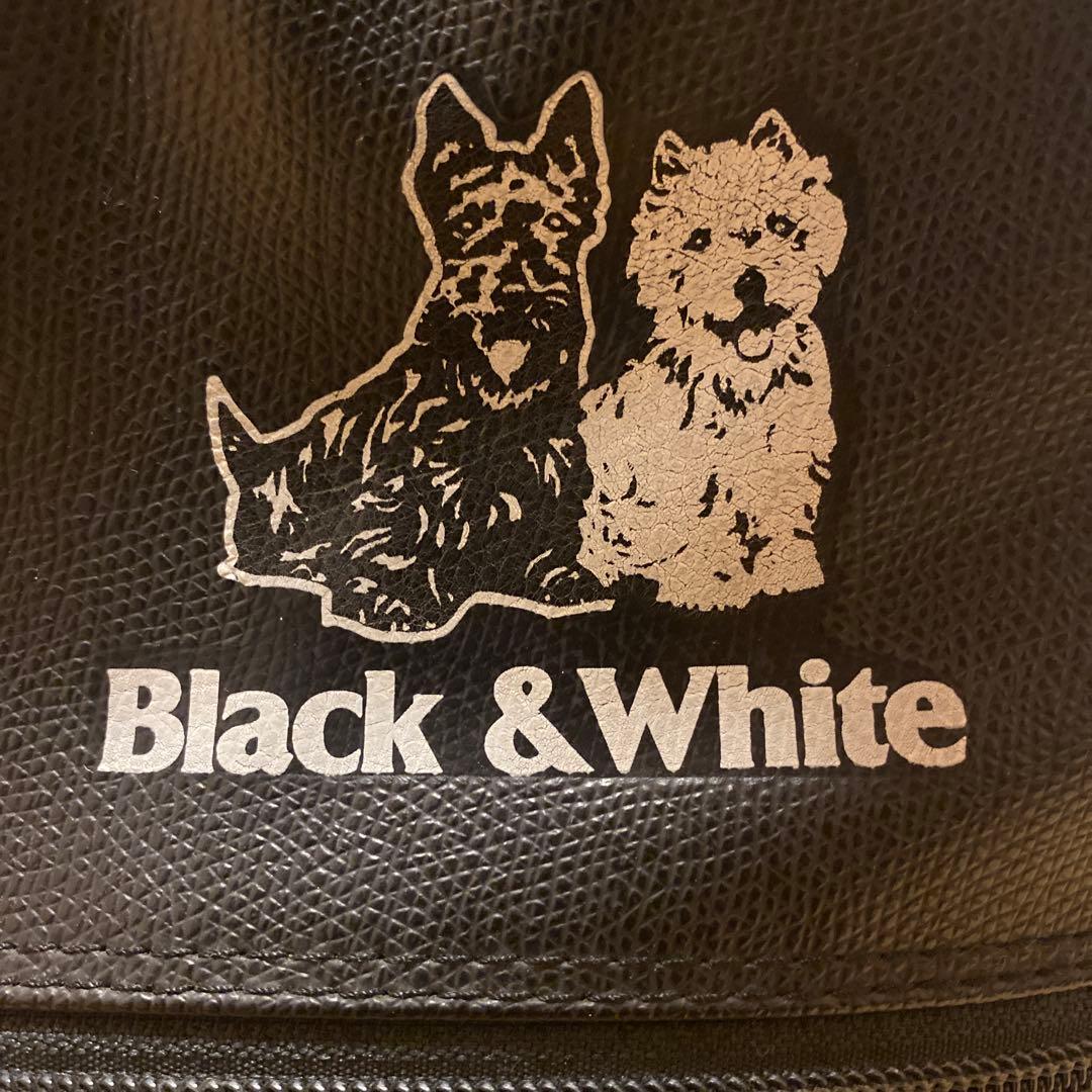 【希少】BLACK&WHITE キャディバッグ