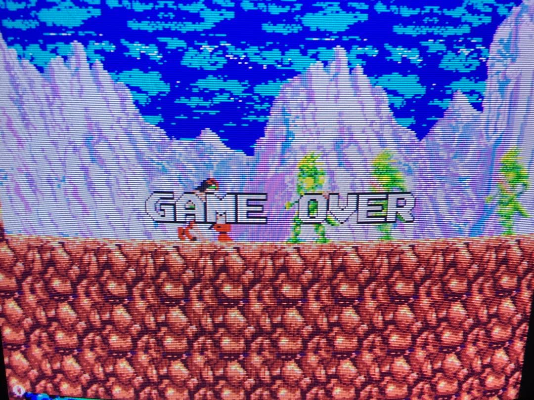 アーケードゲーム基板【ラスタンサーガ】