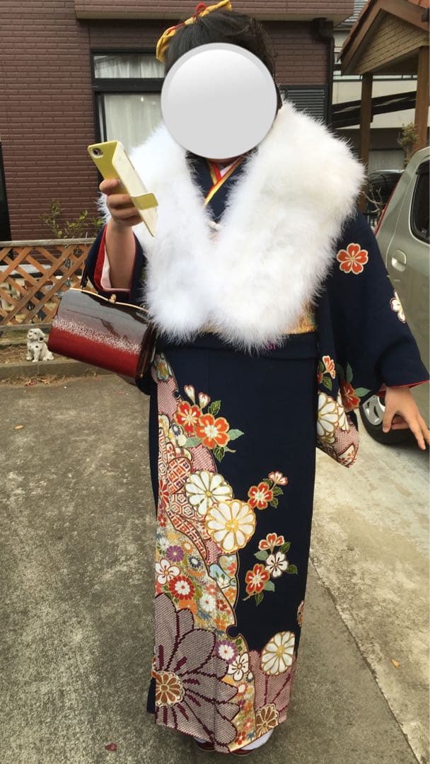 京都友禅振袖、大きめサイズと長襦袢、袋帯、三点セット