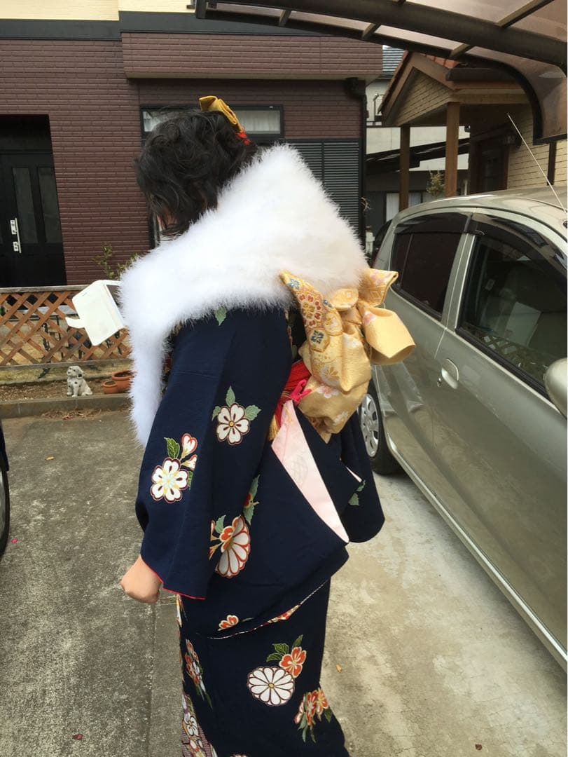 京都友禅振袖、大きめサイズと長襦袢、袋帯、三点セット