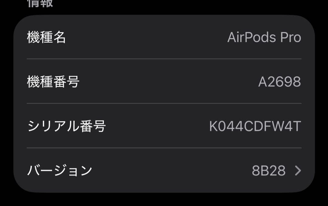 airpods pro2 type C 正規品　エアポッズプロ第二世代