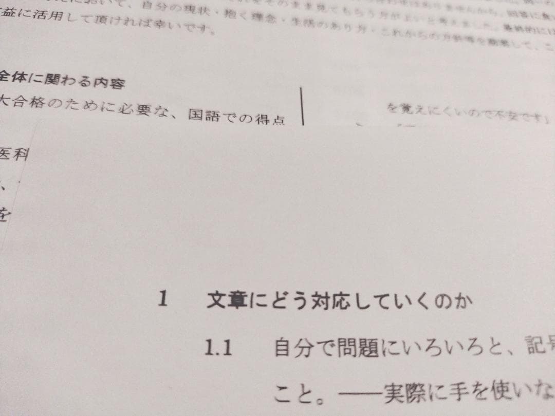 鉄緑会　東大・難関大現代文対策と国語に関する質問に答えて　SEG　駿台　河合塾