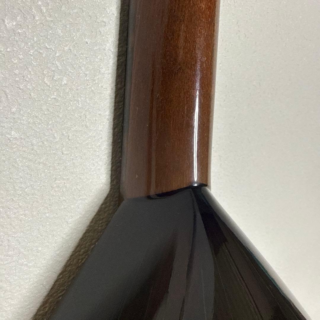 藤丸常夫　No.artistマンドリン