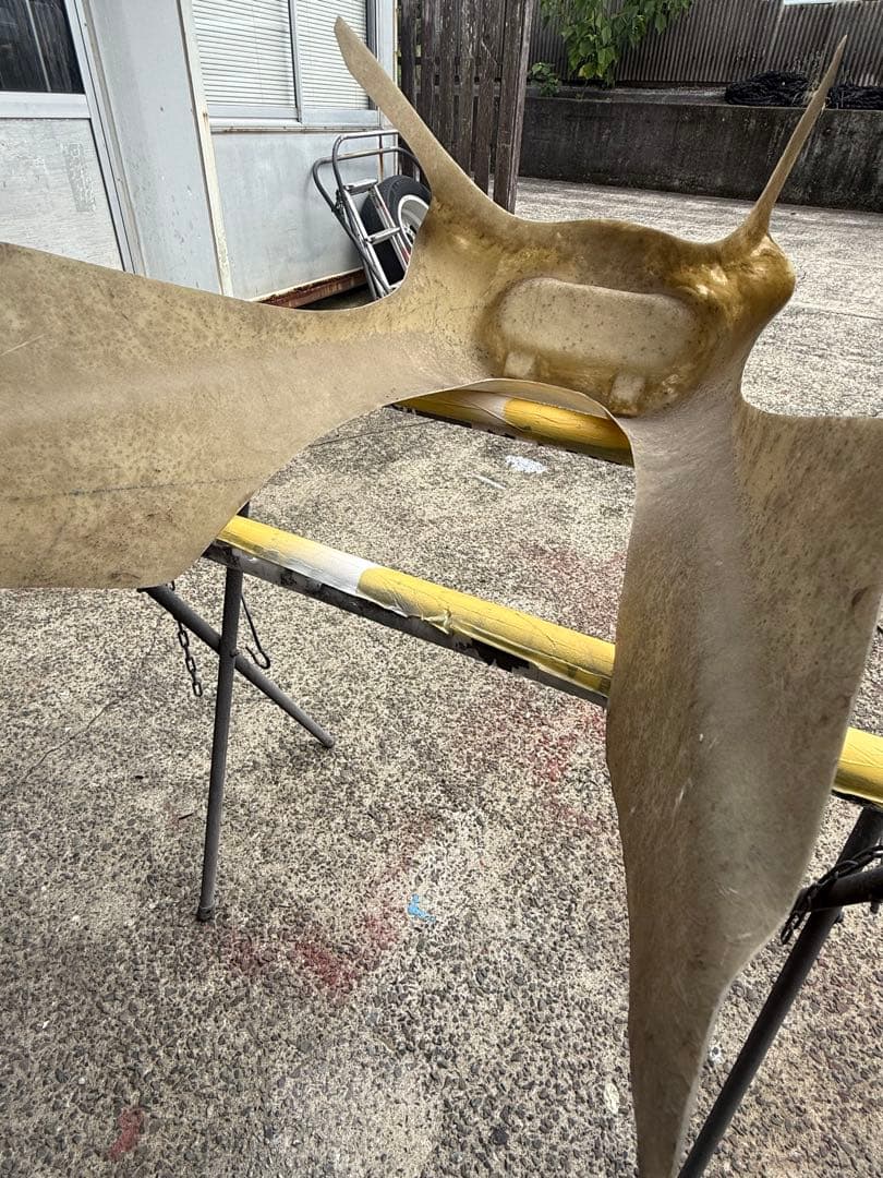 当時物？　ロケットカウル　デュアルカウル　イノウエタイプ？