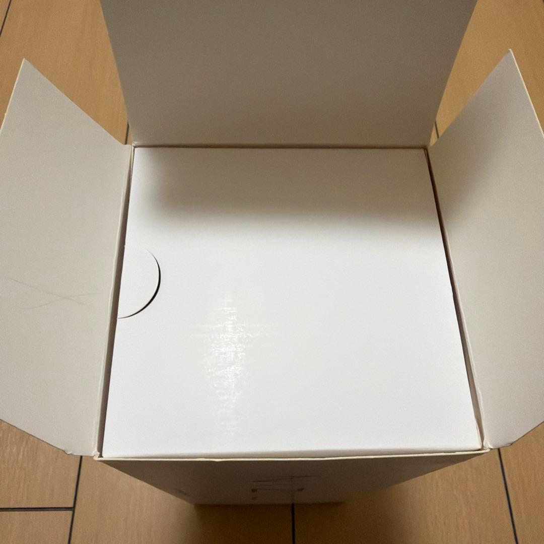 NIZIU 公式ペンライト USB充電