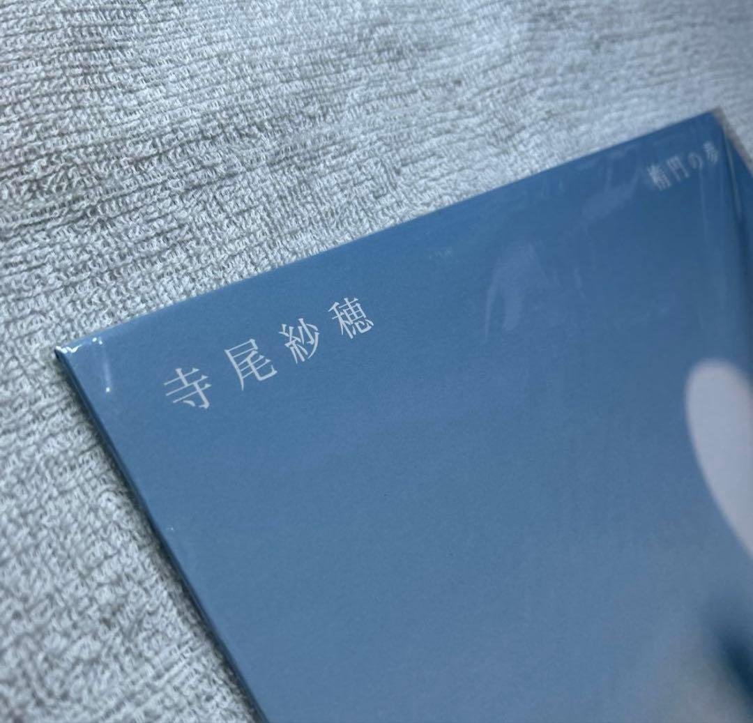 寺尾紗穂　レコード　廃盤