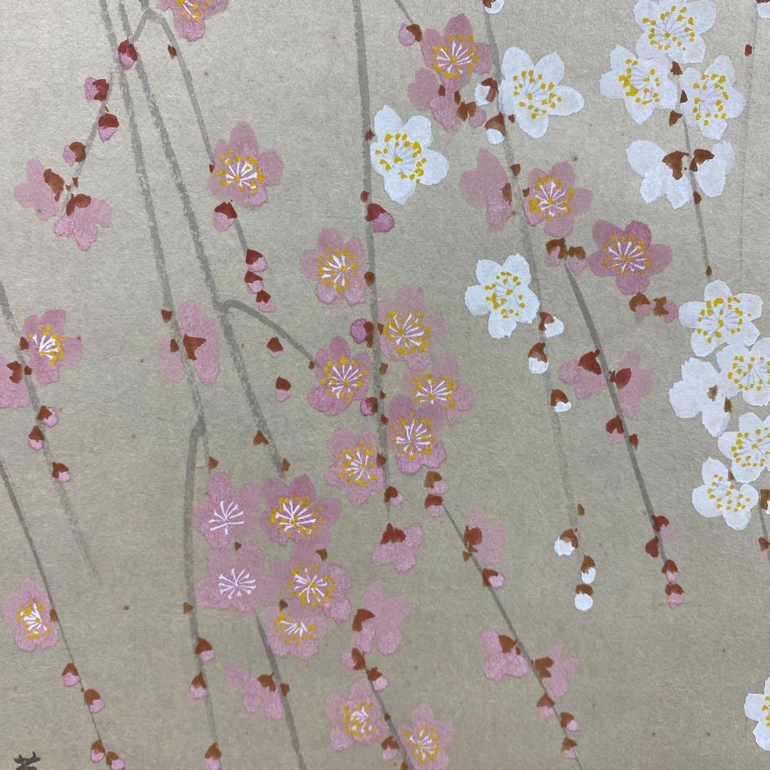 美品 掛け軸 出口華凰作 枝垂梅図 共箱 美術年鑑掲載 縁起物